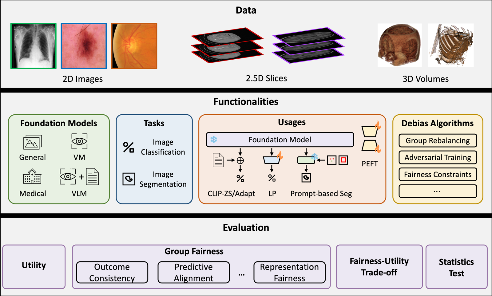 FairMedFM overview: datasets, foundation models, usages and fairness evaluation
